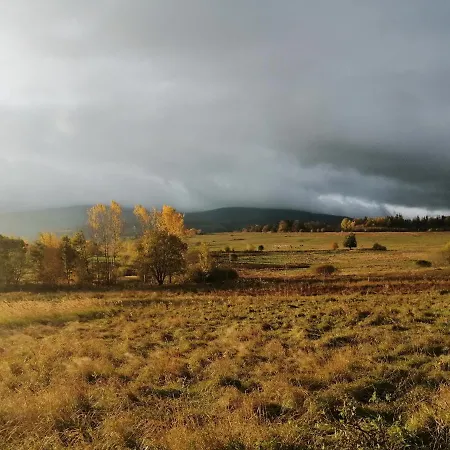 Goscinne Przy Lesie 民宿 Pobiedna