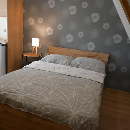 Homestay Goscinne Przy Lesie *