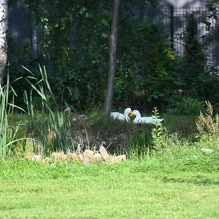 Goscinne Przy Lesie Homestay