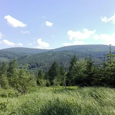 Homestay Goscinne Przy Lesie Pobiedna