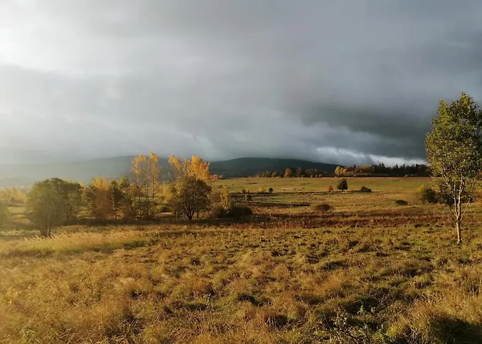 Goscinne Przy Lesie Homestay Pobiedna