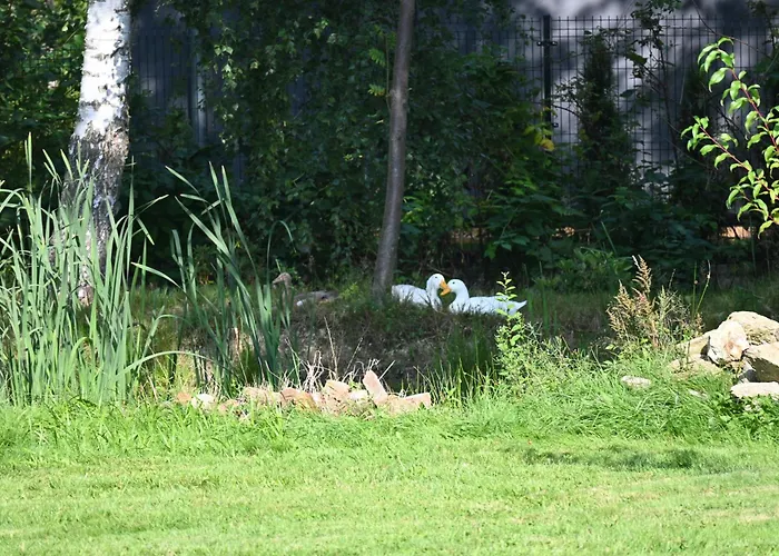 Goscinne Przy Lesie Homestay