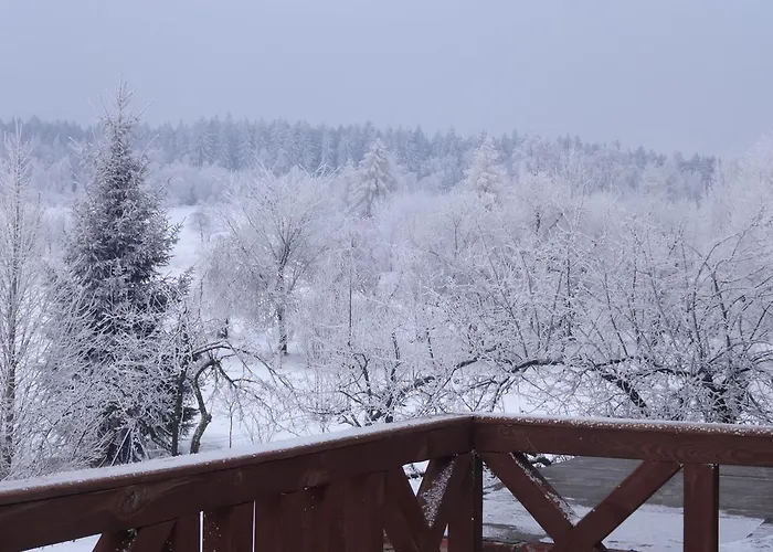 Goscinne Przy Lesie Habitación en casa particular