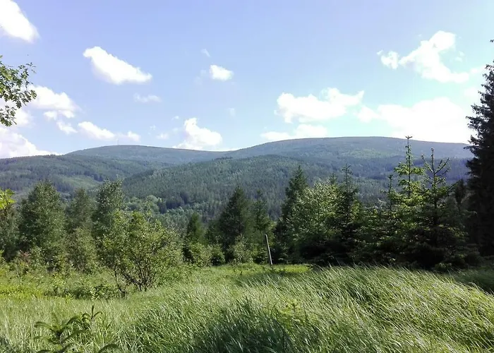 Homestay Goscinne Przy Lesie Pobiedna